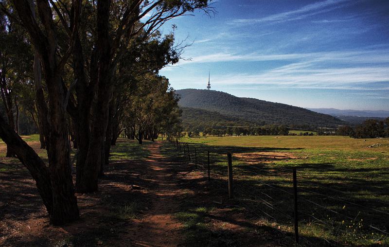 telstra from the paddocks.jpg